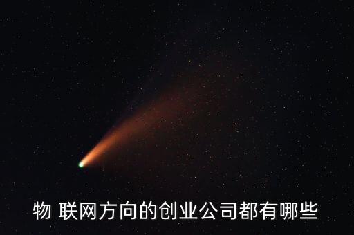 物 聯(lián)網(wǎng)方向的創(chuàng)業(yè)公司都有哪些