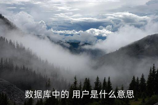 用戶數(shù)據(jù)含義,fifa各項數(shù)據(jù)含義