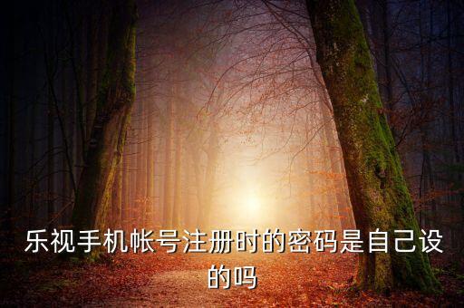 樂視1s自動填寫驗證碼