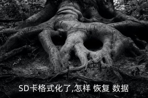 SD卡格式化了,怎樣 恢復(fù) 數(shù)據(jù)