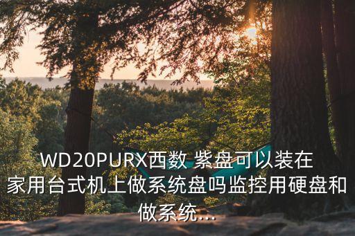 WD20PURX西數(shù) 紫盤(pán)可以裝在家用臺(tái)式機(jī)上做系統(tǒng)盤(pán)嗎監(jiān)控用硬盤(pán)和做系統(tǒng)...