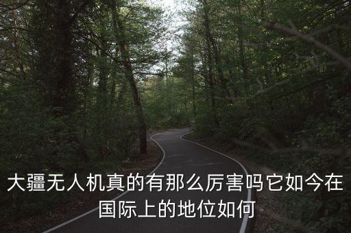 大疆無人機真的有那么厲害嗎它如今在 國際上的地位如何