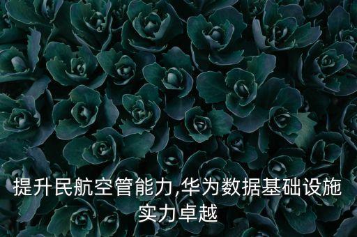 提升民航空管能力,華為數(shù)據(jù)基礎(chǔ)設(shè)施實(shí)力卓越
