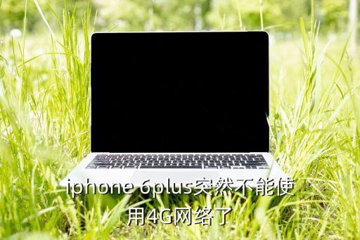 iphone 6plus突然不能使用4G網(wǎng)絡(luò)了