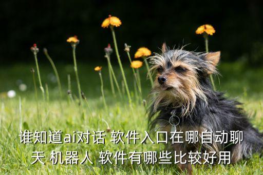 誰知道ai對(duì)話 軟件入口在哪自動(dòng)聊天 機(jī)器人 軟件有哪些比較好用