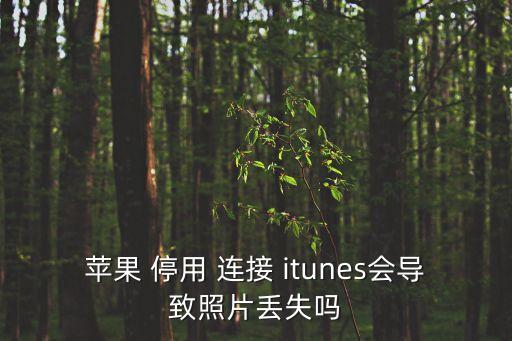 iphone已停用 連接 itunes 數(shù)據(jù)