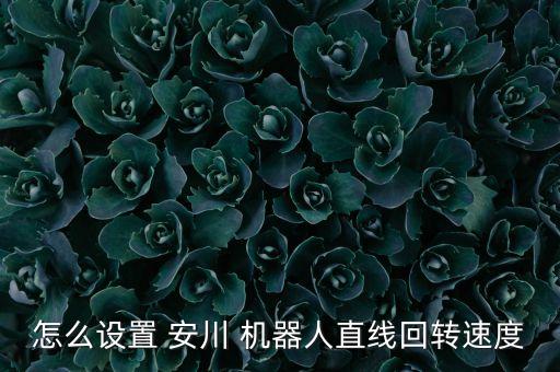 怎么設(shè)置 安川 機器人直線回轉(zhuǎn)速度