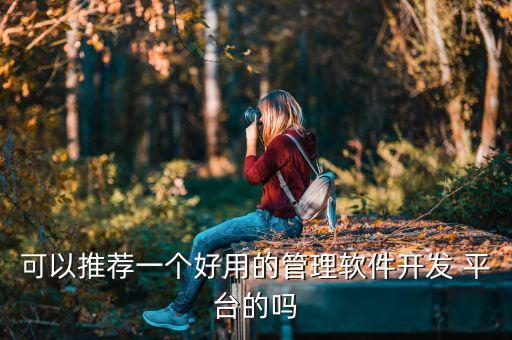 可以推薦一個(gè)好用的管理軟件開發(fā) 平臺(tái)的嗎