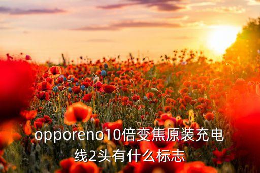 opporeno10倍變焦原裝充電線2頭有什么標志