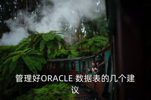 管理好ORACLE 數(shù)據(jù)表的幾個建議