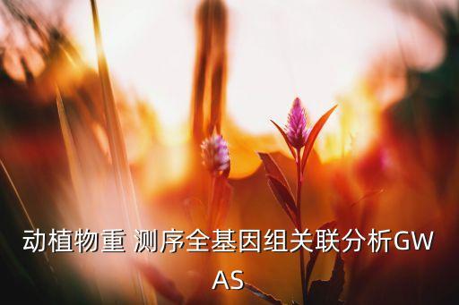 測序數(shù)據(jù)量計(jì)算,測序reads數(shù)與數(shù)據(jù)量