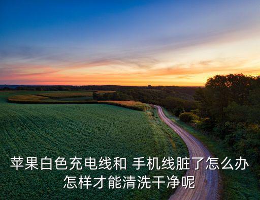 蘋果白色充電線和 手機(jī)線臟了怎么辦怎樣才能清洗干凈呢