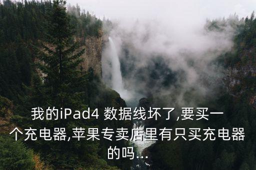 我的iPad4 數(shù)據(jù)線壞了,要買一個(gè)充電器,蘋果專賣店里有只買充電器的嗎...