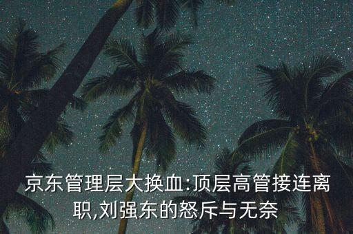  京東管理層大換血:頂層高管接連離職,劉強(qiáng)東的怒斥與無(wú)奈