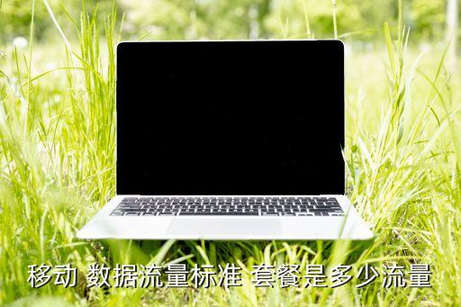移動(dòng) 數(shù)據(jù)流量標(biāo)準(zhǔn) 套餐是多少流量