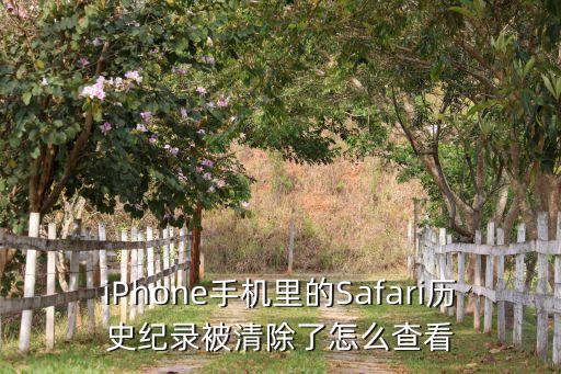 safari數(shù)據(jù)被上傳文件,上傳文件出錯,服務(wù)器返回數(shù)據(jù)