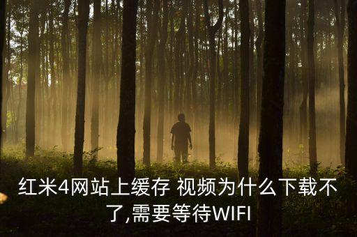 紅米4網(wǎng)站上緩存 視頻為什么下載不了,需要等待WIFI