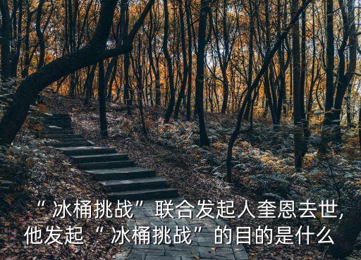 “ 冰桶挑戰(zhàn)”聯(lián)合發(fā)起人奎恩去世,他發(fā)起“ 冰桶挑戰(zhàn)”的目的是什么