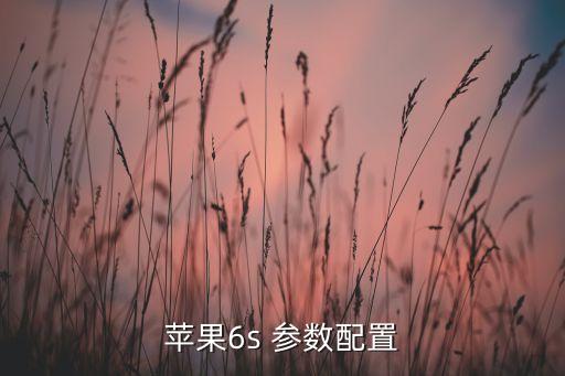 蘋果6s 參數(shù)配置