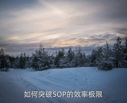如何突破SOP的效率極限