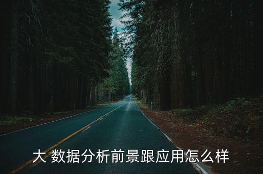 大 數據分析前景跟應用怎么樣