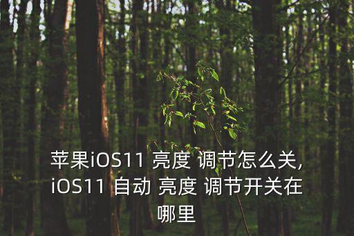 蘋果iOS11 亮度 調(diào)節(jié)怎么關(guān),iOS11 自動 亮度 調(diào)節(jié)開關(guān)在哪里