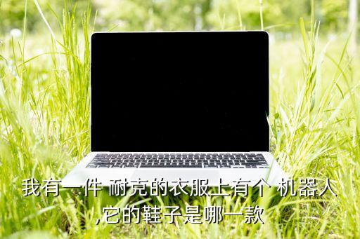 我有一件 耐克的衣服上有個 機器人,它的鞋子是哪一款