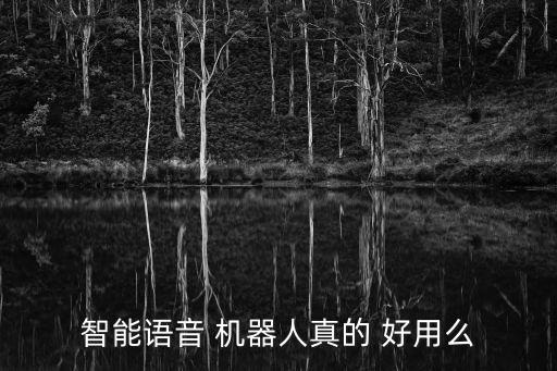 熊貓神算機器人好用嗎