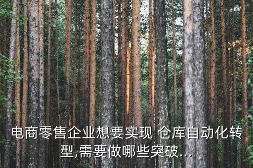 電商零售企業(yè)想要實現(xiàn) 倉庫自動化轉型,需要做哪些突破...