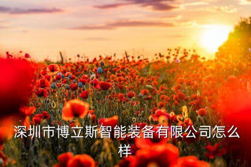  深圳市博立斯智能裝備有限公司怎么樣