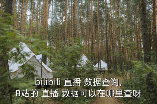 bilibili 直播 數(shù)據(jù)查詢,B站的 直播 數(shù)據(jù)可以在哪里查呀