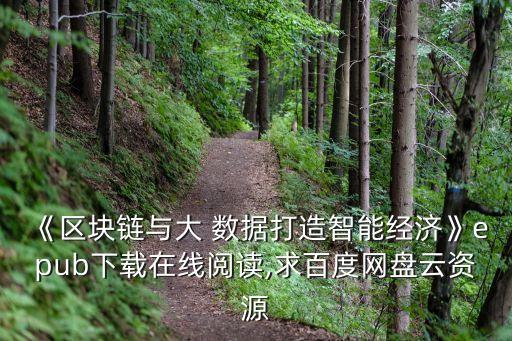 《區(qū)塊鏈與大 數據打造智能經濟》epub下載在線閱讀,求百度網盤云資源