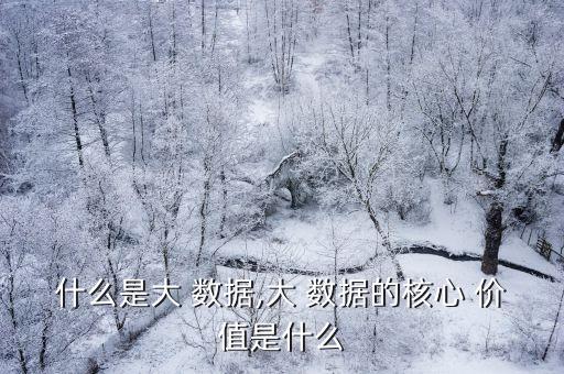 什么是大 數(shù)據(jù),大 數(shù)據(jù)的核心 價值是什么