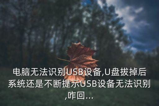 電腦無法識別USB設(shè)備,U盤拔掉后系統(tǒng)還是不斷提示USB設(shè)備無法識別,咋回...