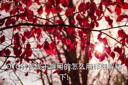 OTG轉(zhuǎn)接線(xiàn)干嘛用的怎么用詳細(xì)解釋下!