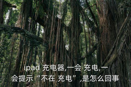  ipad 充電器,一會(huì) 充電,一會(huì)提示“不在 充電”,是怎么回事