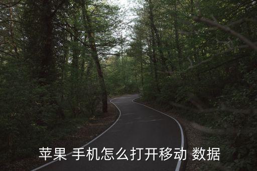 蘋果手機數(shù)據(jù)開啟快捷方式,設(shè)置蘋果手機小圓點的快捷方式