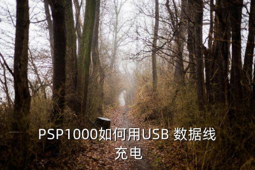 PSP1000如何用USB 數(shù)據(jù)線 充電