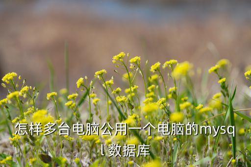 怎樣多臺電腦公用一個電腦的mysql 數(shù)據(jù)庫