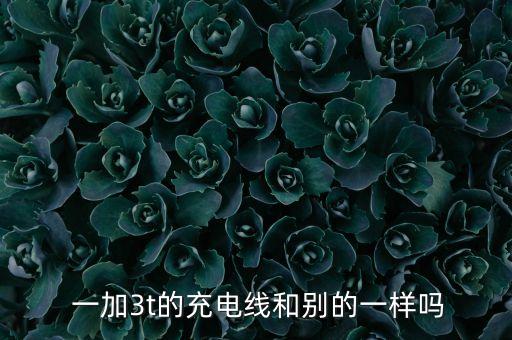  一加3t的充電線和別的一樣嗎