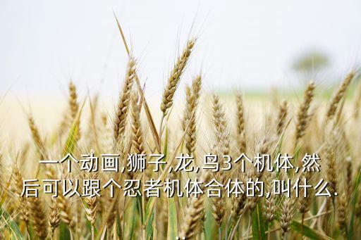 一個(gè)動(dòng)畫(huà),獅子,龍,鳥(niǎo)3個(gè)機(jī)體,然后可以跟個(gè)忍者機(jī)體合體的,叫什么...