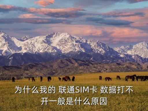 為什么我的 聯(lián)通SIM卡 數(shù)據(jù)打不開一般是什么原因
