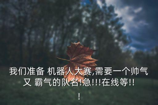霸氣機器人