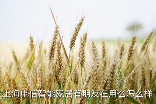 上海電信智能家居有朋友在用么怎么樣