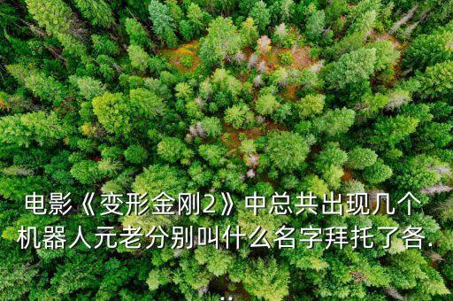 電影《變形金剛2》中總共出現(xiàn)幾個 機(jī)器人元老分別叫什么名字拜托了各...
