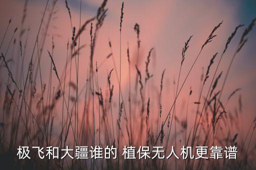 極飛和大疆誰的 植保無人機(jī)更靠譜