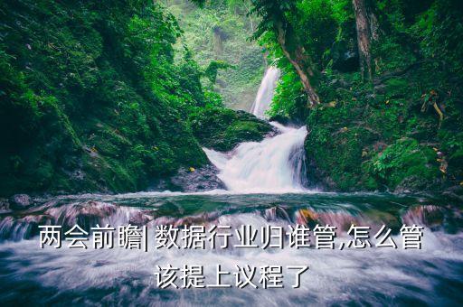 兩會(huì)前瞻| 數(shù)據(jù)行業(yè)歸誰(shuí)管,怎么管該提上議程了