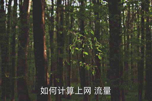 如何計(jì)算上網(wǎng) 流量