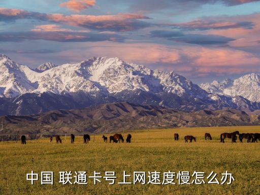 聯(lián)通數(shù)據(jù)流量網速慢,為什么聯(lián)通流量卡網速突然變得很慢