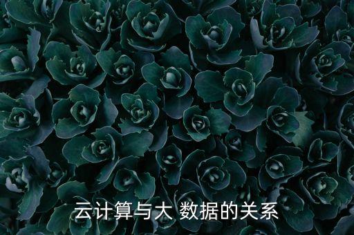 云計(jì)算與大 數(shù)據(jù)的關(guān)系